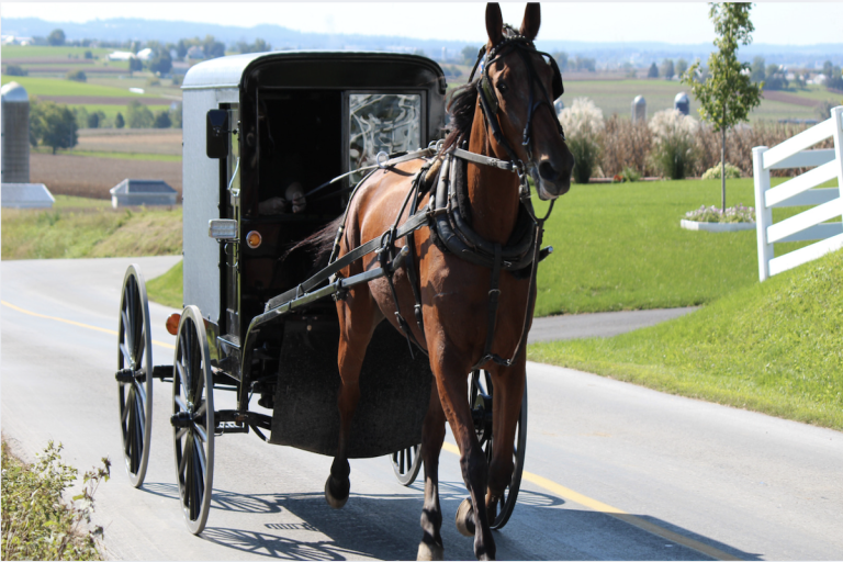 Amish Tiny Homes