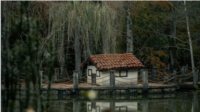 Tiny Lake House