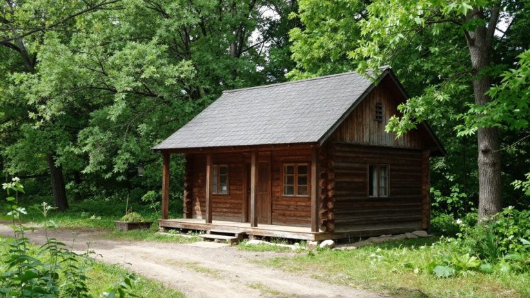 Off-grid cabin in a sunny forest clearing.